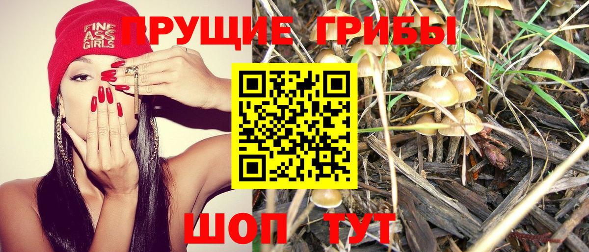 Псилоцибиновые грибы прущие грибы Курск