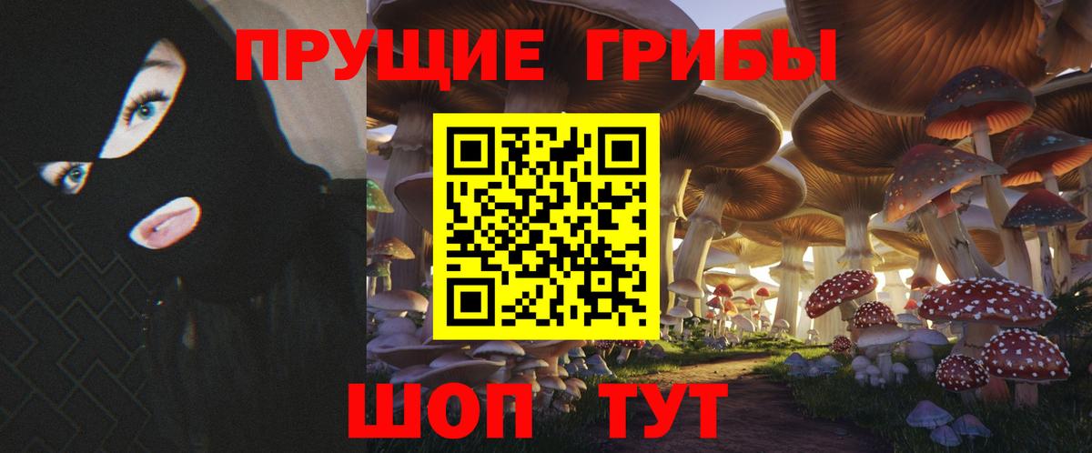 Курск  Псилоцибиновые грибы Magic Shrooms  Псилоцибиновые грибы Psilocybine cubensis  Вход с VPN 